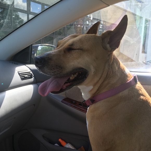 Meet your Posher, Myrna - Picture 6 of 8